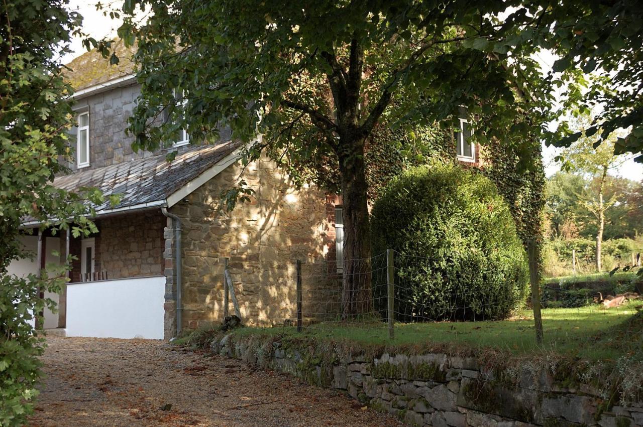 Ruhiges, Gemuetliches Ferienhaus Mit Grossem Garten ウェーム エクステリア 写真